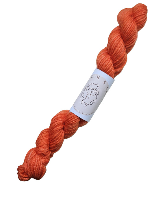 MINI CORAIL